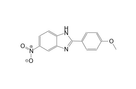 methyl 4-(5-nitro-1H-benzimidazol-2-yl)phenyl ether