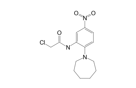 N-[2-(1-azepanyl)-5-nitrophenyl]-2-chloroacetamide