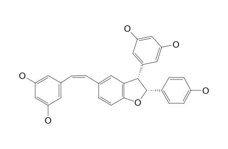 MAXIMOL-B