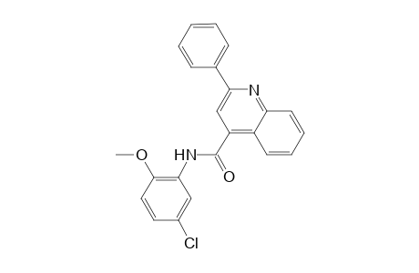 N-(5-chloro-2-methoxyphenyl)-2-phenyl-4-quinolinecarboxamide