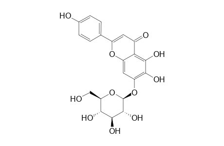 SCUTILLAREIN-7-O-BETA-D-GLUCOPYRANOSIDE;6-HYDROXY-APIGENIN-7-O-BETA-D-GLUCOPYRANOSIDE