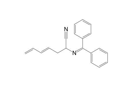 (E)-2-(N-(Diphenylmethylene)amino)hept-4,6-dienenitrile
