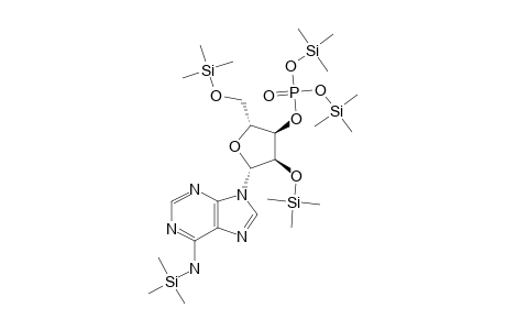 3'-adenylic acid, 5TMS