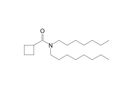 Cyclobutanecarboxamide, N-heptyl-N-octyl-