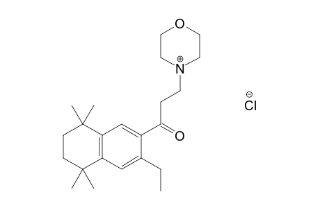 3'-ethyl-3-morpholino-5',6',7',8'-tetrahydro-5',5',8',8'-tetramethyl-2'-propionaphthone, hydrochloride