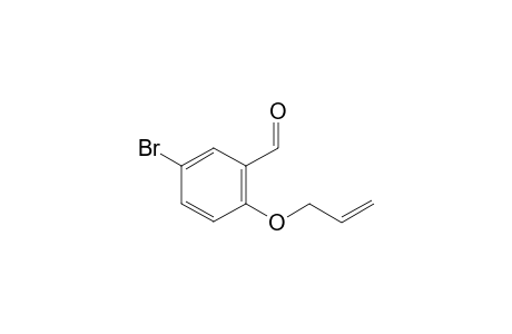5-BrOMO-2-(PROP-2'-ENYLOXY)-BENZALDEHYDE