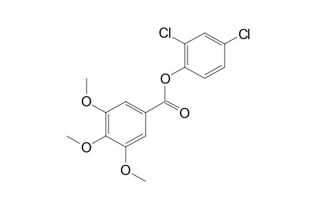 3,4,5-trimethoxybenzoic acid, 2,4-dichlorophenyl ester