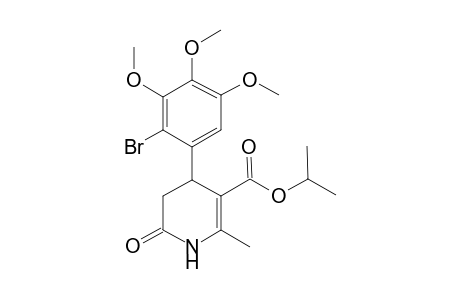 4-(2-bromo-3,4,5-trimethoxy-phenyl)-2-keto-6-methyl-3,4-dihydro-1H-pyridine-5-carboxylic acid isopropyl ester
