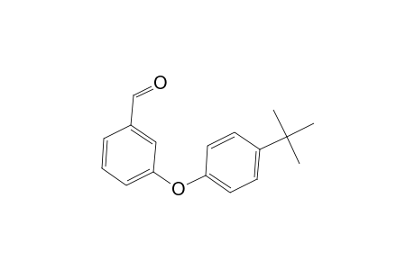 3-(4-tert-Butylphenoxy)benzaldehyde