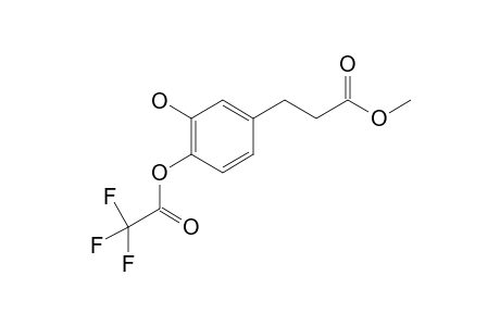 Hydrocaffeic acid METFA             @