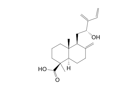 FOKIHODGIN_F;12-R-HYDROXYLABDA-8-(17),13-(16),14-TRIEN-19-OIC_ACID