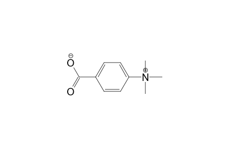 Benzenaminium, 4-carboxy-N,N,N-trimethyl-, hydroxide, inner salt