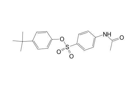 4-tert-Butylphenyl 4-(acetylamino)benzenesulfonate