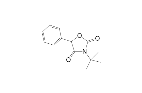 3-t-Butyl-5-phenyl-1,3-oxazolidine-2,4-dione