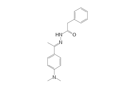 N'-[4-(Dimethylamino)-.alpha.-methylbenzylidene]-2-phenylacethydrazide