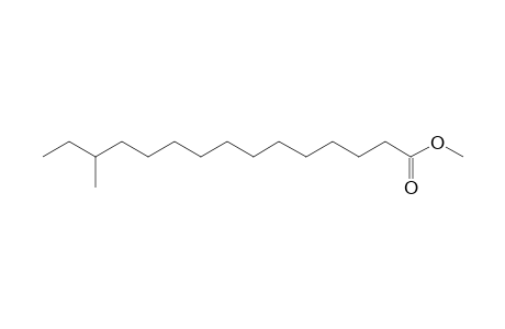 Pentadecanoic acid, 13-methyl-, methyl ester