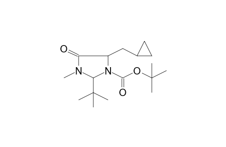 tert-Butyl 2-tert-butyl-5-(cyclopropylmethyl)-3-methyl-4-oxo-1-imidazolidinecarboxylate