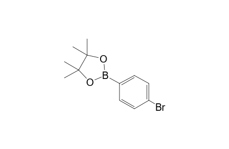 2-(4-Bromophenyl)-4,4,5,5-tetramethyl-1,3,2-dioxaborolane