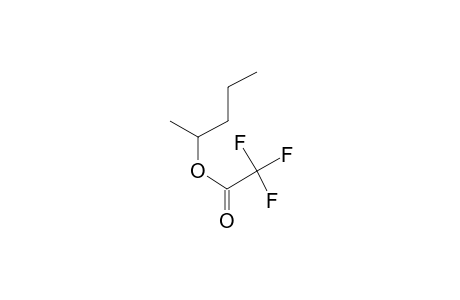 1-Methylbutyl trifluoroacetate