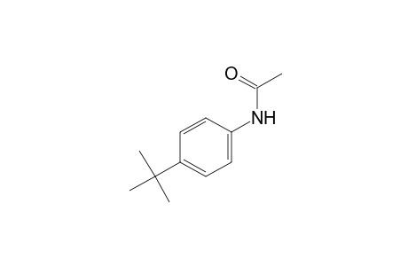 p-tert-BUTYLACETANILIDE