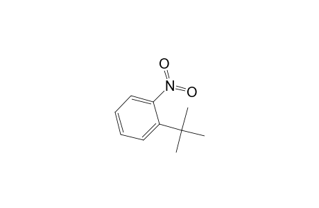 1-tert-BUTYL-2-NITROBENZENE