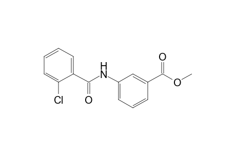 m-(o-chlorobenzamido)benzoic acid, methyl ester