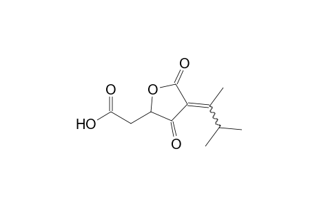 3-(1,2-Dimethylpropylidene)-5-(carboxymethyl)furan-2,4(3H,5H)-dione