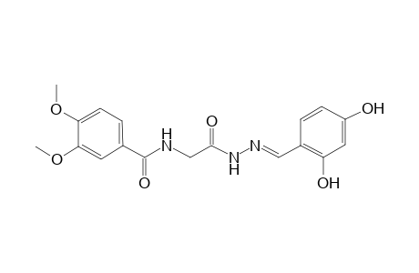 Benzamide, 3,4-dimethoxy-N-[2-(2,4-dihydroxybenzylidenhydrazino)-2-oxoethyl]-
