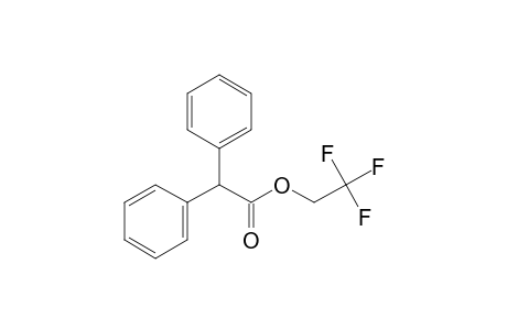 2,2,2-Trifluoroethyl diphenylacetate