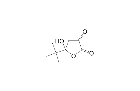 Furane-2,3-dione, tetrahydro-5-tert-butyl-5-hydroxy-