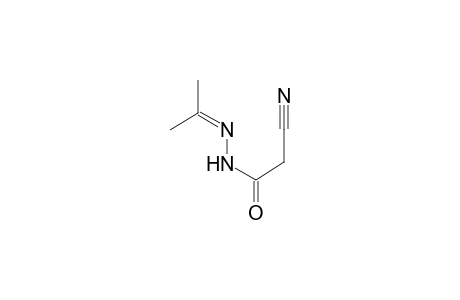 2-Cyano-N'-(1-methylethylidene)acetohydrazide