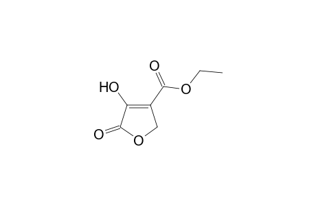 4-CARBOETHOXY-3-HYDROXY-2(5H)-FURANONE