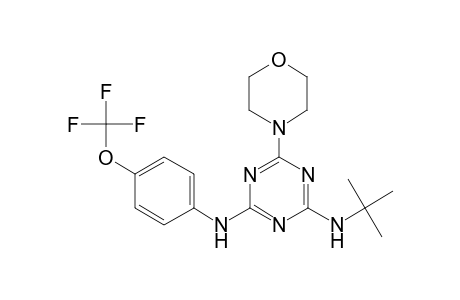 2-N-tert-butyl-6-morpholin-4-yl-4-N-[4-(trifluoromethoxy)phenyl]-1,3,5-triazine-2,4-diamine