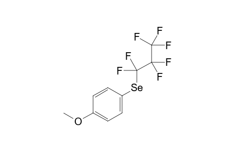 1-[(1,1,2,2,3,3,3-heptafluoropropyl)selanyl]-4-methoxybenzene