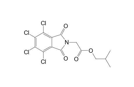 Isobutyl (4,5,6,7-tetrachloro-1,3-dioxo-1,3-dihydro-2H-isoindol-2-yl)acetate