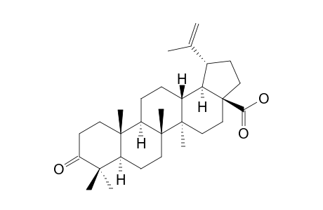 3-oxolup-20(29)-en-28-oic acid