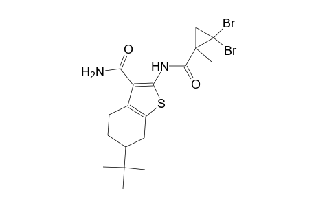 6-tert-butyl-2-{[(2,2-dibromo-1-methylcyclopropyl)carbonyl]amino}-4,5,6,7-tetrahydro-1-benzothiophene-3-carboxamide