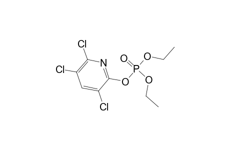 CHLORPYRIFOS, OXYGEN ANALOG