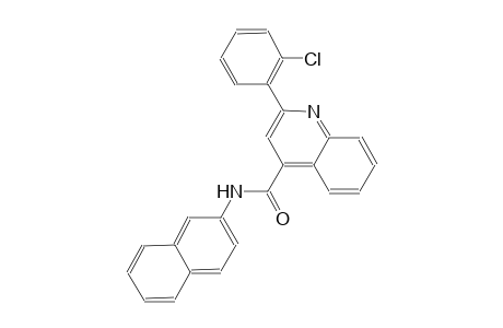 2-(2-chlorophenyl)-N-(2-naphthyl)-4-quinolinecarboxamide