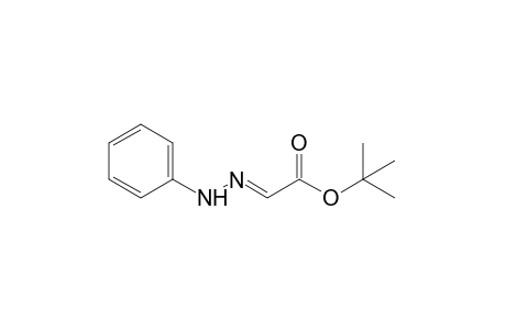 glyoxylic acid, tert-butyl ester, phenylhydrazone