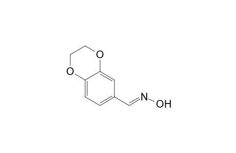 1,4-Benzodioxin-6-carboxaldehyde, 2,3-dihydro-, oxime