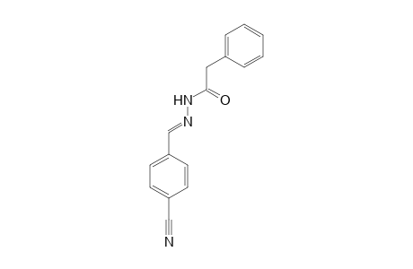 N'-[(E)-(4-Cyanophenyl)methylidene]-2-phenylacetohydrazide
