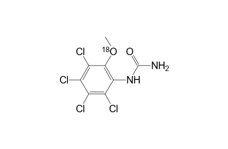 Urea, (2,3,4,5-tetrachloro-6-methoxy-18O-phenyl)-