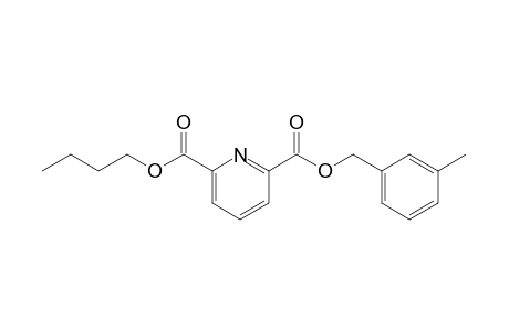 2,6-Pyridinedicarboxylic acid, 3-methylbenzyl butyl ester