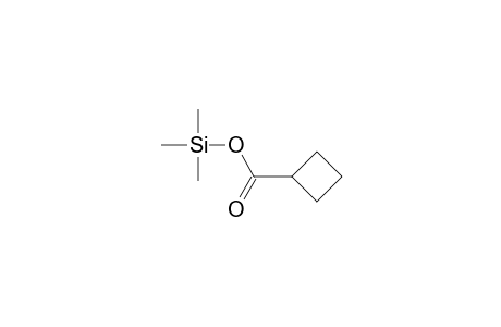 Trimethylsilyl cyclobutanecarboxylate