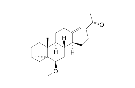 6.beta.-Methoxy-13-methylene-3.alpha.,5-cyclo-18-nor-13,17-seco-5.alpha.-pregnan-20-one