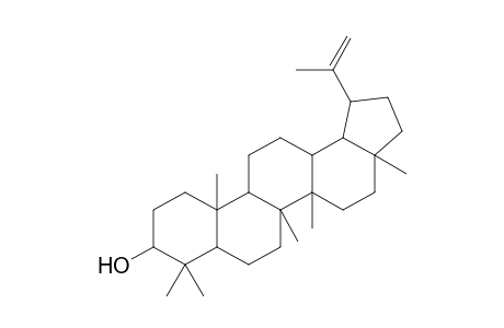 3-EPI-LUPEOL