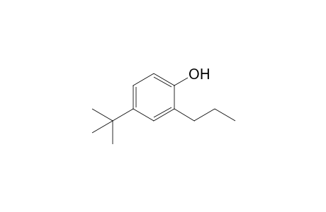 4-tert-butyl-2-propyl-phenol