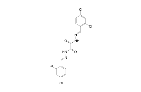 N,N'-bis[(E)-(2,4-dichlorobenzylidene)amino]oxamide