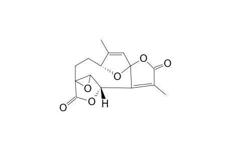 Pseudoneoliacine